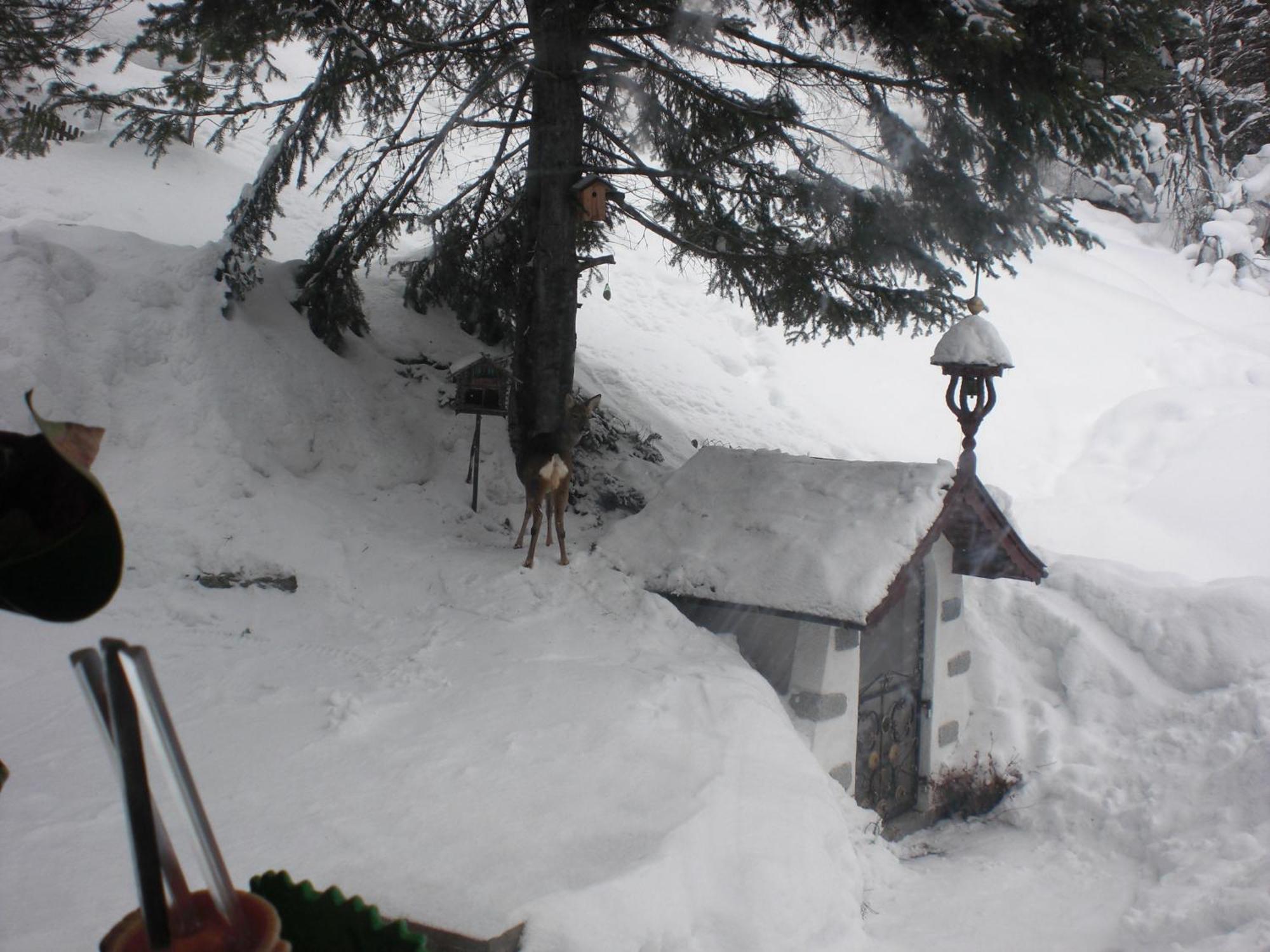 Hotel Haus Waldheim St. Leonhard im Pitztal Exterior foto